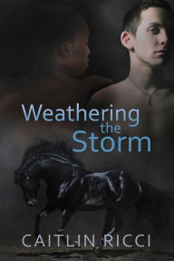 Title: Weathering the Storm (Robbie & Sam Series #1), Author: Caitlin Ricci