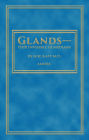 Glands - Our Invisible Guardians