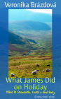 What James Did on Holiday (The Adventures of James, Martin, and Rose, #1)