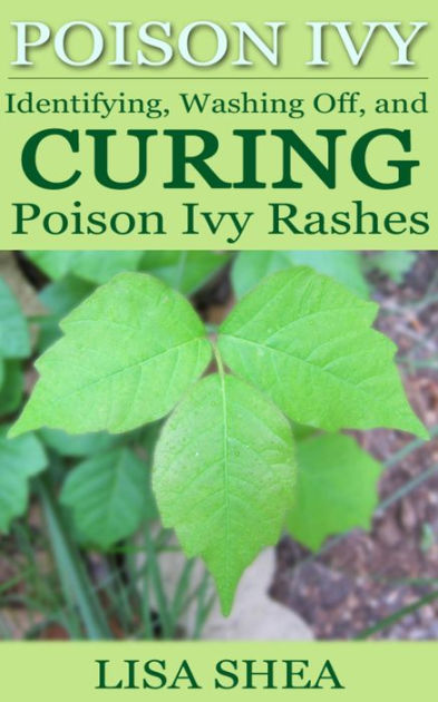 Poison Ivy - Identifying, Washing Off, and Curing Poison Ivy Rashes by ...