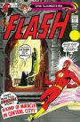 The Flash (1959-) #208