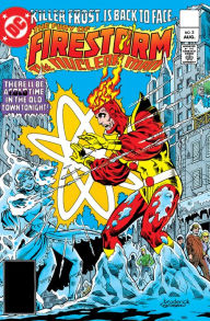 Title: The Fury of Firestorm (1982-) #3, Author: Gerry Conway