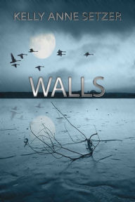 Title: Walls, Author: Kelly Anne Setzer