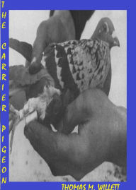 Title: The Carrier Pigeon, Author: Thomas M. Willett