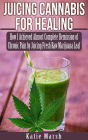 Juicing Cannabis for Healing, How I Achieved Almost Complete Remission of Chronic Pain by Juicing Fresh Raw Marijuana Leaf