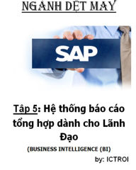 Title: He thong bao cao tong hop danh cho Lanh Dao SAP AFS Nganh DET MAY, Author: Elvis Stewart