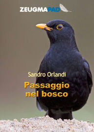 Title: Passaggio nel bosco, Author: Sandro Orlandi