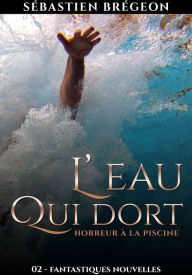 Title: L'eau qui dort, Author: Sébastien Brégeon
