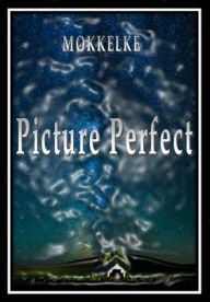 Title: Picture Perfect, Author: Mokkelke