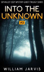 Into The Unknown #3 (Skyvalley Cozy Mystery Series)