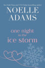 One Night in the Ice Storm