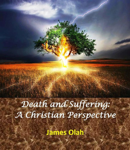 Death and Suffering: A Christian Perspective (Facing the difficulties of life, #1)