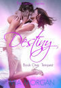 Destiny: Tempest (The Destiny Series, #1)