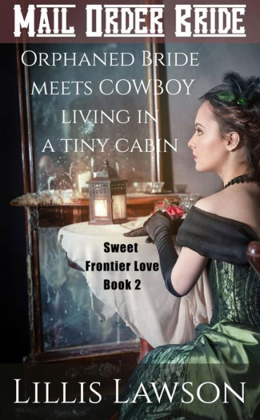 Orphaned Bride Meets Cowboy Living In A Tiny Cabin (Colorado Cowboys Looking For Love, #2)