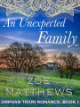 An Unexpected Family (Orphan Train Romance, #1)