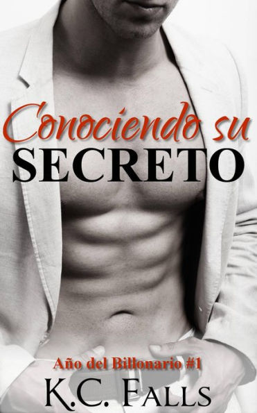 Año del Billonario Vol. #1 : Conociendo su Secreto