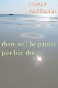 Title: There Will Be Pauses Just Like This, Author: Pàdruig MacIlleChiar