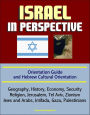 Israel in Perspective: Orientation Guide and Hebrew Cultural Orientation: Geography, History, Economy, Security, Religion, Jerusalem, Tel Aviv, Zionism, Jews and Arabs, Intifada, Gaza, Palestinians