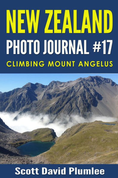 New Zealand Photo Journal #17: Climbing Mount Angelus