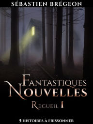 Title: Fantastiques Nouvelles: recueil 1, Author: Sébastien Brégeon