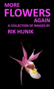 Title: More Flowers Again, Author: Rik Hunik