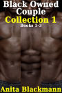 Black Owned Couple Collection 1, Books 1-3 (Bundle)