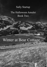 Title: Winter at Bear Cottage, Author: Sally Startup