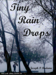 Title: Tiny Rain Drops, Author: Joseph P. Badame
