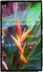 Title: Toutes ces choses qui vous empoisonnent la vie et comment s'en débarrasser !, Author: B Duche