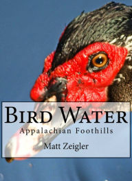 Title: Bird Water: Appalachian Foothills, Author: Matt Zeigler