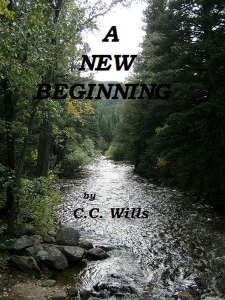 A New Beginning