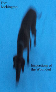 Title: Inspections of the Wounded, Author: Tom Lockington