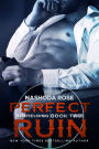 Perfect Ruin (Unyielding #2)