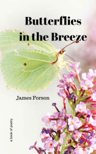 Title: Butterflies in the Breeze, Author: James Forson