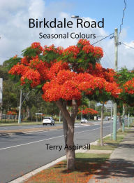 Title: Birkdale Road Seasonal Colours, Author: Terry Aspinall