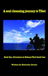 Title: A Soul Cleansing Journey to Tibet Book One: Adventures in Sichuan-Tibet South Line, Author: Molecular Doctor