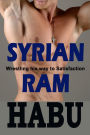 Syrian Ram