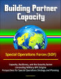 Building Partner Capacity - Special Operations Forces (SOF), Capacity, Resiliency, and the Security Sector, Unraveling Military BPC Enigma, Perspectives for Special Operations Strategy and Planning