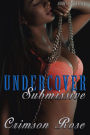 Undercover Submissive