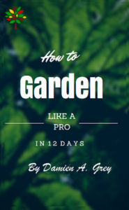 Title: How to Garden Like a Pro in 12 Days, Author: Jan D Voogd