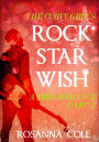 The Curvy Girl's Rock Star Wish 2