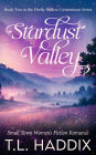 Stardust Valley: A Small Town Women's Fiction Romance (Firefly Hollow Generations, #2)