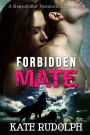 Forbidden Mate: A Shapeshifter Paranormal Romance
