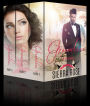 Groomless - My Billionaire Romance Box Set