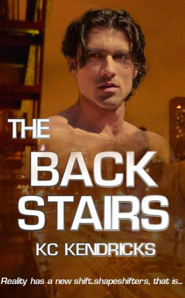 The Back Stairs (The Sundown Saga, #1)
