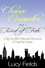 Chance Encounter Twist of Fate