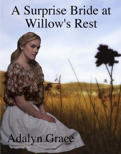 A Surprise Bride in Willow's Rest (Mail Order Brides of Willow's Rest, #1)