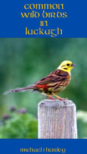 Title: Wild Birds in Lackagh, Author: Michael J. Hurley