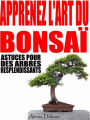 Apprenez l'art du Bonsaï: Astuces pour des arbres resplendissants