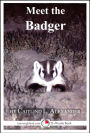 Meet the Badger: A 15-Minute Book for Early Readers